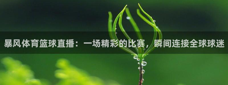 暴风体育篮球直播：一场精彩的比赛，瞬间连接全球球迷