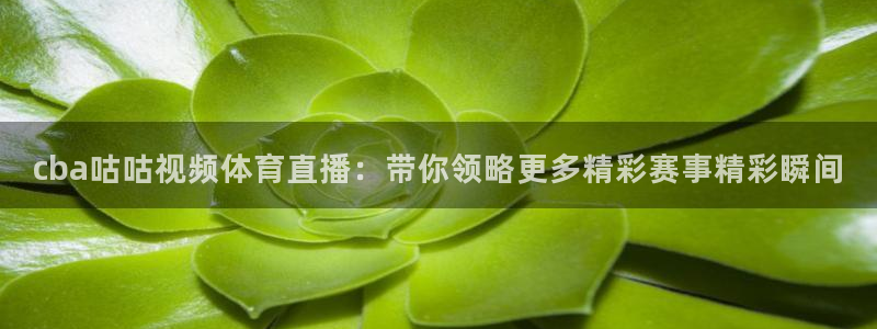 cba咕咕视频体育直播：带你领略更多精彩赛事精彩瞬间