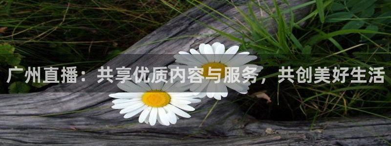 广州直播：共享优质内容与服务，共创美好生活