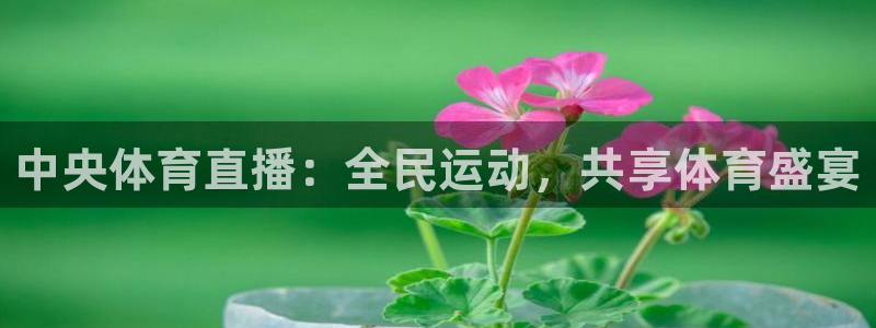 中央体育直播：全民运动，共享体育盛宴