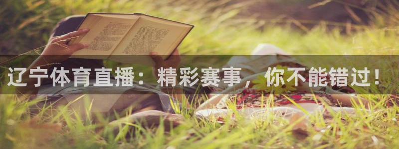 辽宁体育直播：精彩赛事，你不能错过！